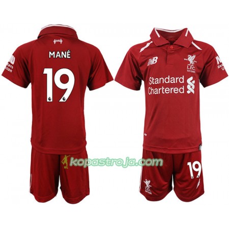 Billiga Fotbollströjor Liverpool MANE 19 Barn Hemma tröja 2018/19 Kortärmad